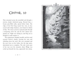 Fireborn: Twelve and the Frozen Forest
