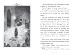 Fireborn: Twelve and the Frozen Forest