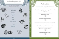 Forest, Fairies, Mushrooms and Goblins Sticker, Color & Activity Book: Over 500 Unique Stickers