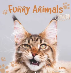 Funny Animals
