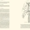 Gray's Anatomy
