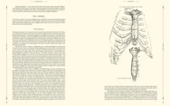 Gray's Anatomy