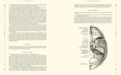 Gray's Anatomy