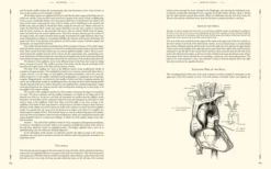 Gray's Anatomy