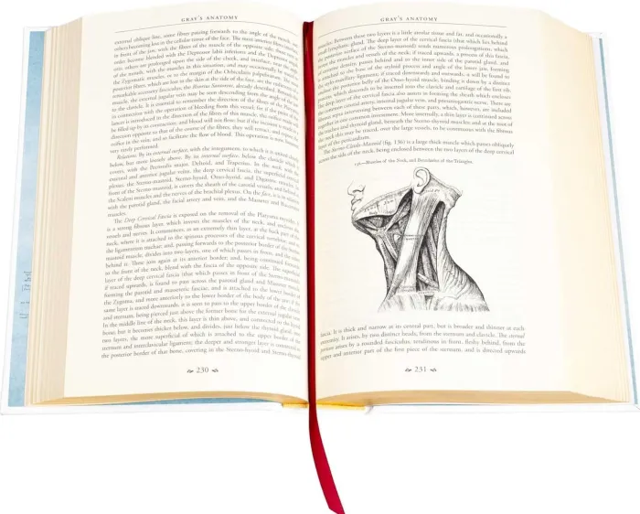 Gray's Anatomy (Deluxe Leatherbound Edition): Anatomy Descriptive and Surgical
