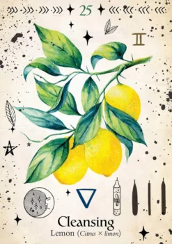Green Witch Oracle Cards: Discover real secrets of Botanical Magick