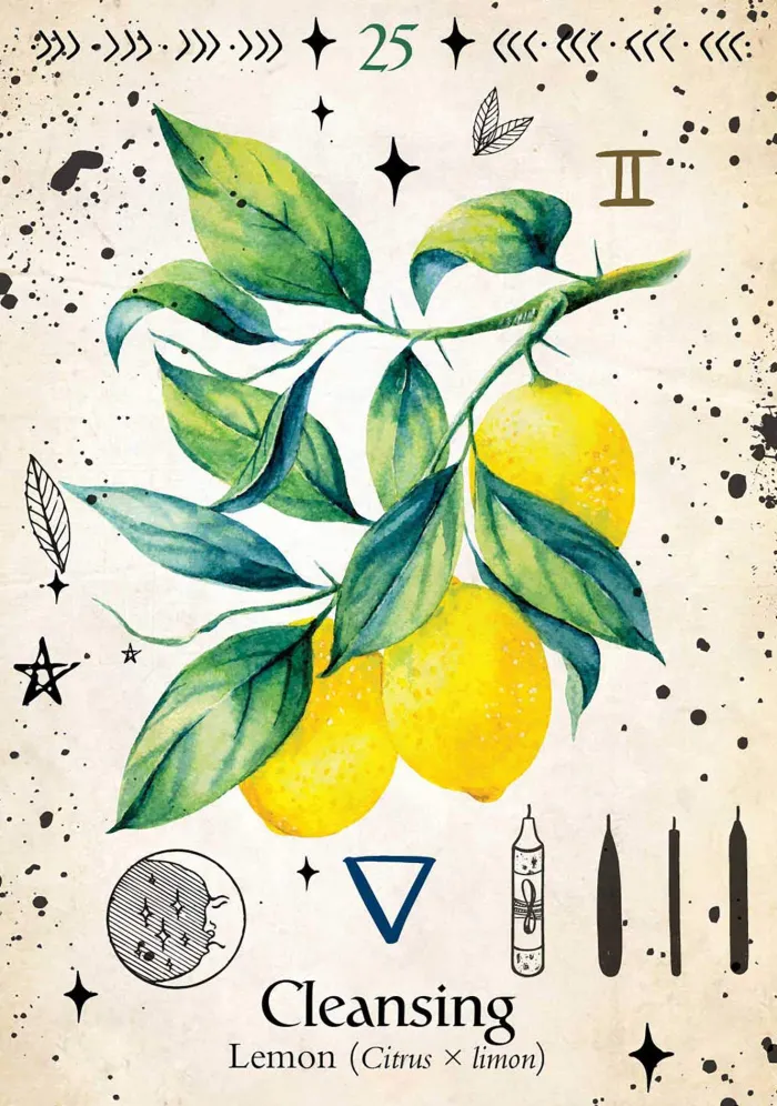 Green Witch Oracle Cards: Discover real secrets of Botanical Magick