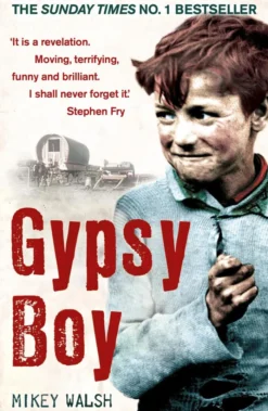 Gypsy Boy: The bestselling memoir of a Romany childhood