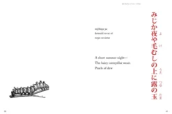 Haiku