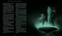 Harry Potter and the Half-Blood Prince: Deluxe Illustrated Slipcase Edition