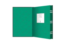 Harry Potter and the Philosopher's Stone – Slytherin Hogwarts House Edition