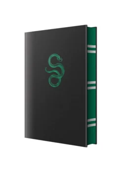 Harry Potter and the Philosopher's Stone – Slytherin Hogwarts House Edition