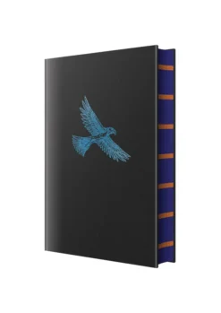 Harry Potter and the Philosopher's Stone – Ravenclaw Hogwarts House Edition