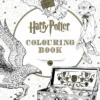 Harry Potter Colouring Book: An official colouring book