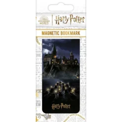 Harry Potter (Hogwarts Castle)
