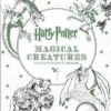 Harry Potter Magical Creatures Colouring Book