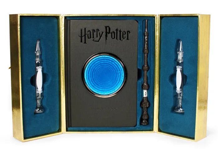 Harry Potter Pensieve Memory Set