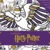 Harry Potter: Winter at Hogwarts: A Magical Coloring Set