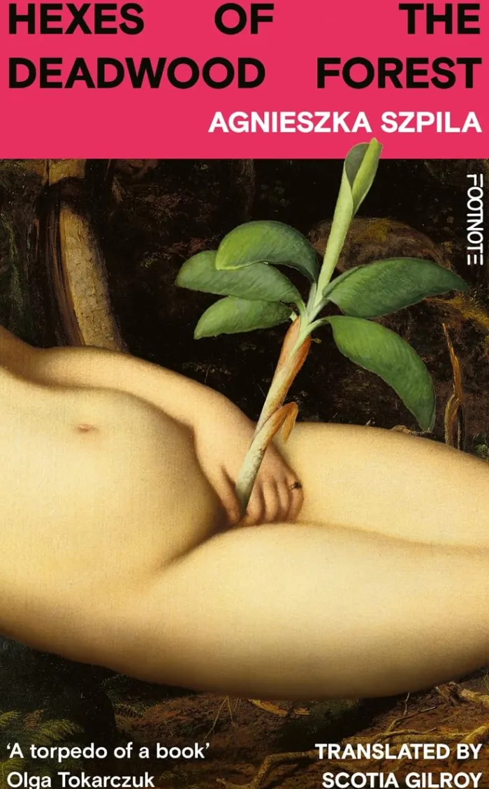 Hexes of the Deadwood Forest: 'Bold, surreal, feminist & ferociously funny' Service95