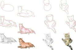 How to Draw: Baby Animals: In Simple Steps