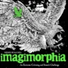 Imagimorphia: An Extreme Coloring and Search Challenge