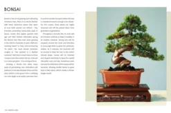 Japanese Living: Bring Mindfulness, Joy and Simplicity into Your Life