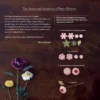 Japanese Paper Flowers