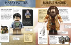 LEGO Harry Potter Character Encyclopedia New Edition: With Exclusive LEGO Harry Potter Minifigure