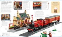 LEGO Harry Potter Visual Dictionary: With Exclusive Minifigure