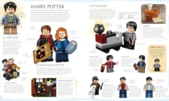 LEGO Harry Potter Visual Dictionary: With Exclusive Minifigure