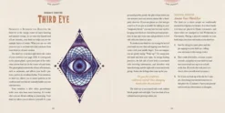 Maia Toll's Wild Wisdom Companion: A Guided Journey into the Mystical Rhythms of the Natural World, Season by Season