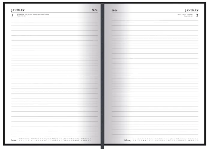 Mandalorian 2026 A5 Dtp Diary