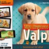 Min drømmevalp: AR digital magi