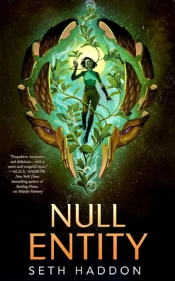 Null Entity
