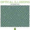 Optical Illusions Wall Calendar 2027 (Art Calendar)