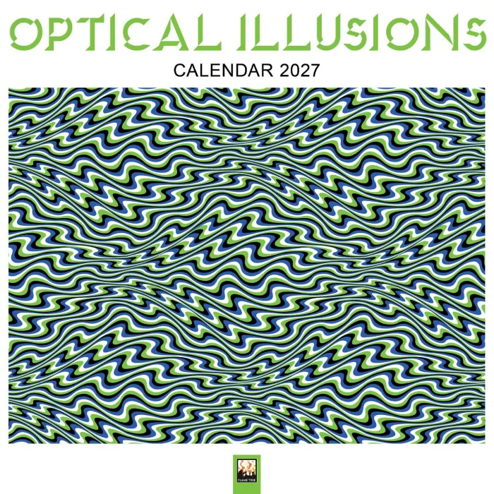 Optical Illusions Wall Calendar 2027 (Art Calendar)