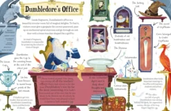 Professor Dumbledore