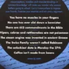 QI: The Book of General Ignorance - The Noticeably Stouter Edition