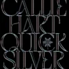 Quicksilver: The utterly addictive enemies-to-lovers romantasy sensation