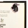 Rebecca Yarros's Fourth Wing: Dragons of Navarre Magnetic Bookmark Set of 3 - Magnetic Bookmarks