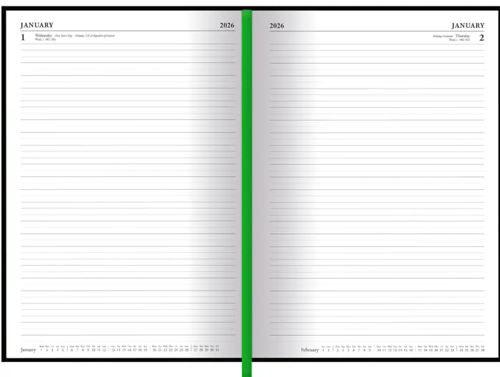 Rick & Morty 2026 A5 Dtp Diary