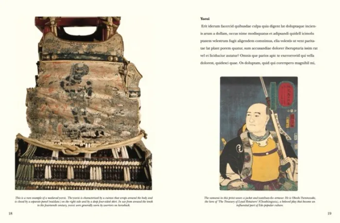 Samurai Armour