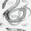 Scorpion Deep