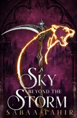 Sky Beyond the Storm