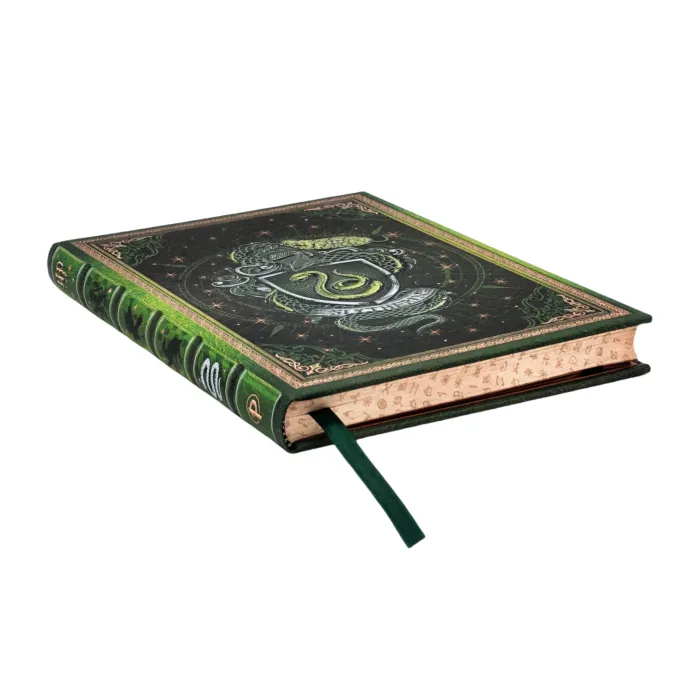 Slytherin Journal (120x180)