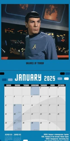 Star Trek 2025 Wall Calendar: The Original Series