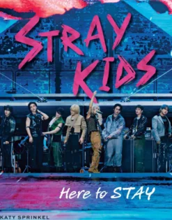 Stray Kids: Here to STAY