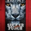 Sucker Punch: Anita Blake 27