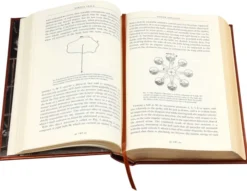 The Autobiography of Nikola Tesla and Other Works (Deluxe Leatherbound Edition)