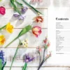 The Bouquet in a Book: Spring: Pre-Punched Pages to Press out and Make Paper Flowers